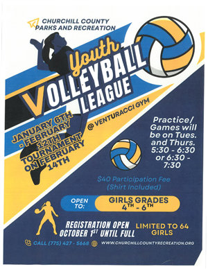 youth volleyball league 2025